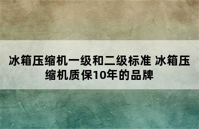 冰箱压缩机一级和二级标准 冰箱压缩机质保10年的品牌